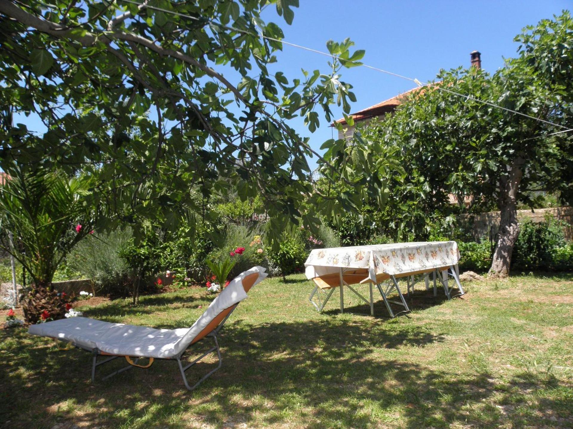 Apartments Zvone - 100 M From Sea Bibinje Exterior photo